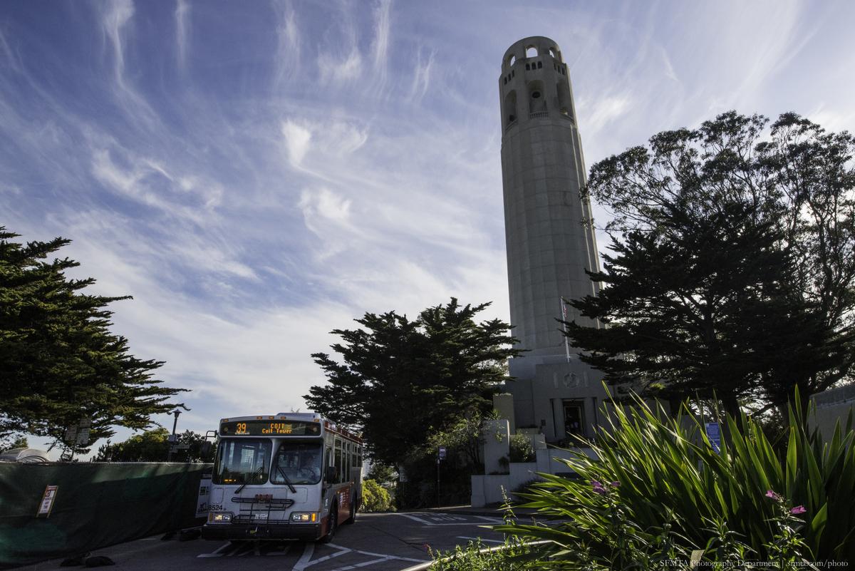Route 39 bus at Coit Tower with cypress trees and blue sky
