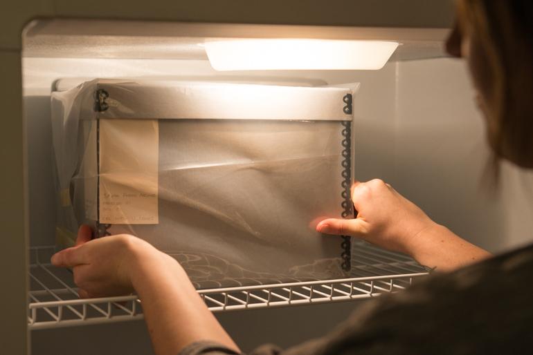 Archivist placing box of photographic negatives into freezer for long-term preservation storage.