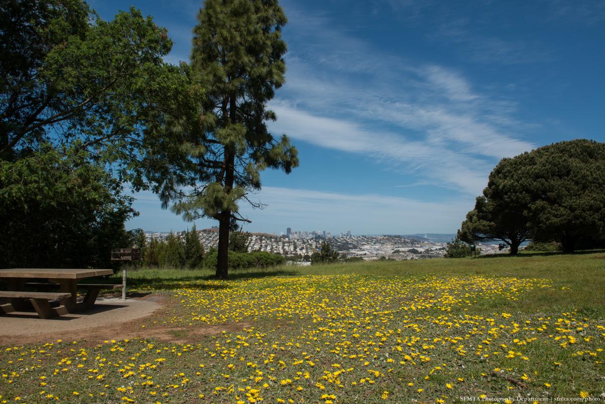 Open grassy field with yellow wildflowers, picnic table, tall trees, and San Francisco cityscape in distance under blue sky.