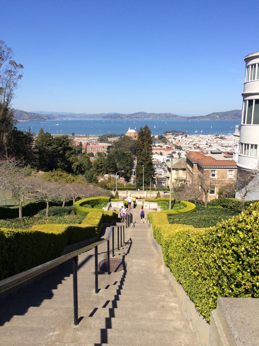 Steep concrete steps descend through manicured gardens overlooking San Francisco Bay and cityscape under clear blue sky.