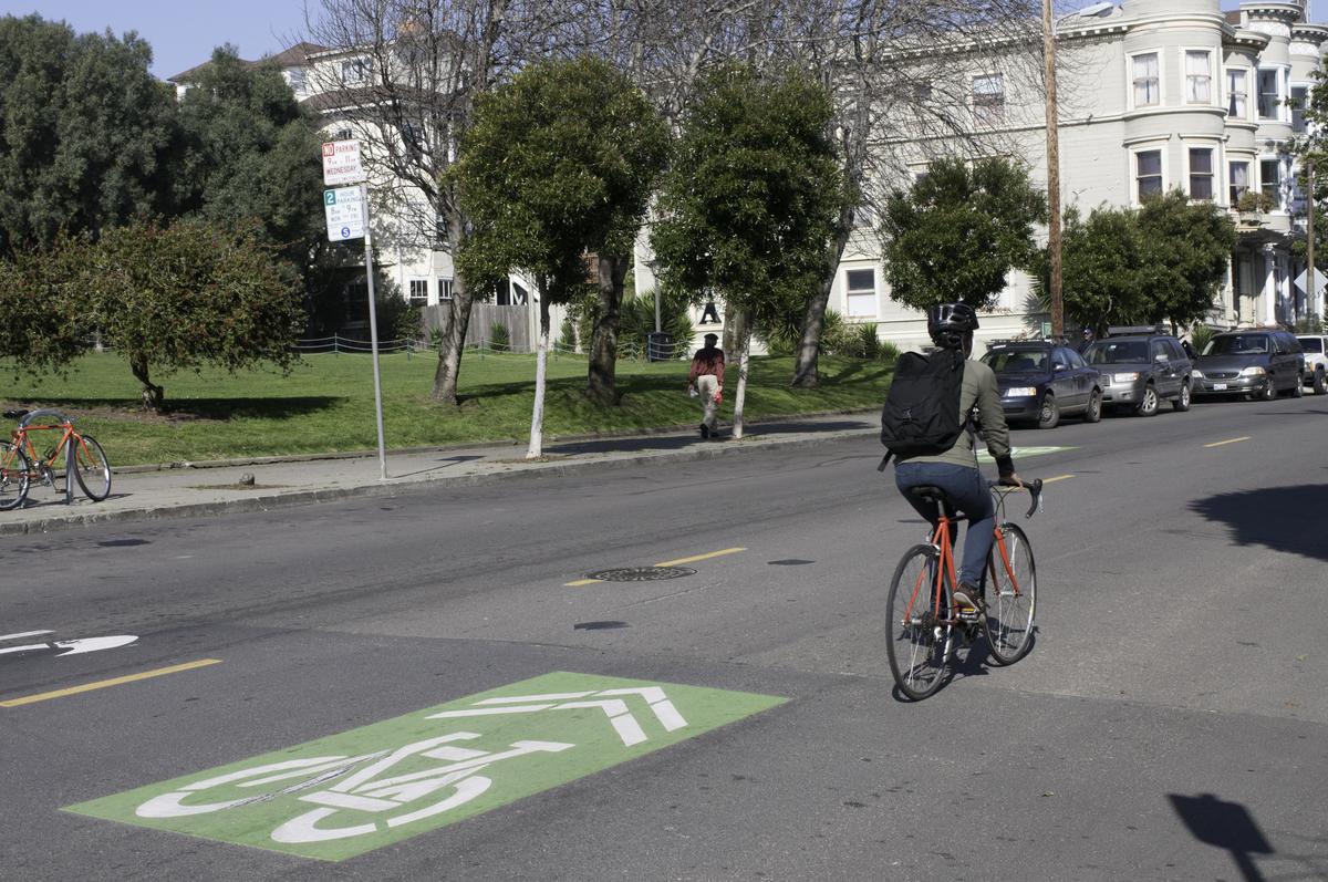 Cyclist riding on street with green sharrow marking and trees lining residential area.
