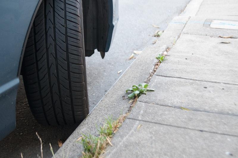 Car wheel turned against curb with weeds growing in adjacent sidewalk crack.