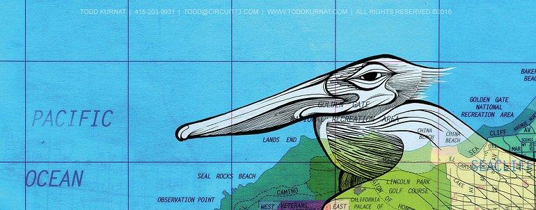 Illustrated pelican head overlaid on a map of the San Francisco Bay Area coastline and Pacific Ocean.