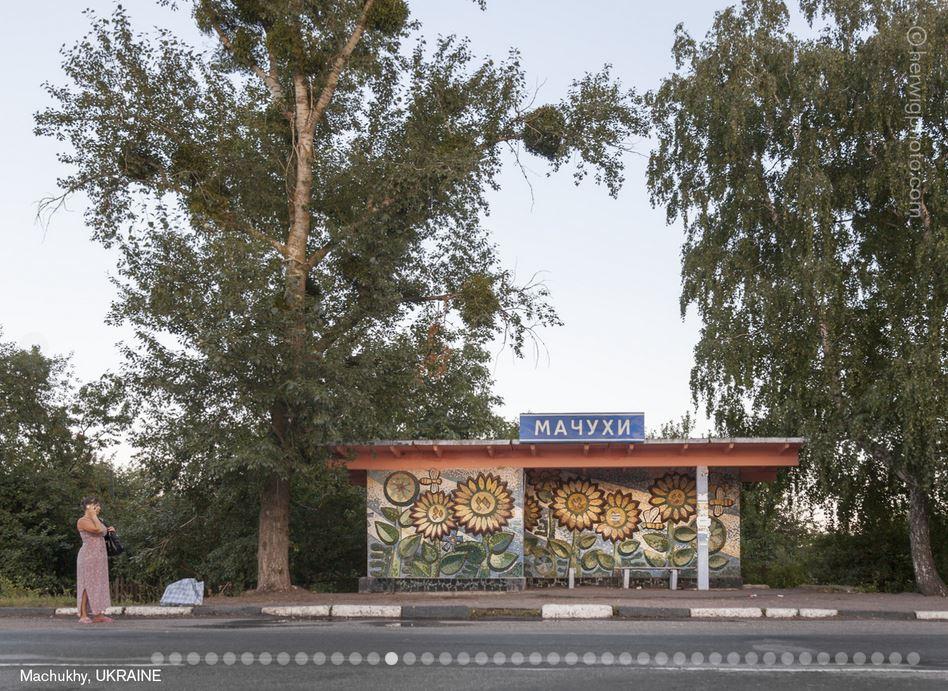 Bus stop with sunflower mural in Machukhy, Ukraine, surrounded by tall trees and a woman standing nearby.