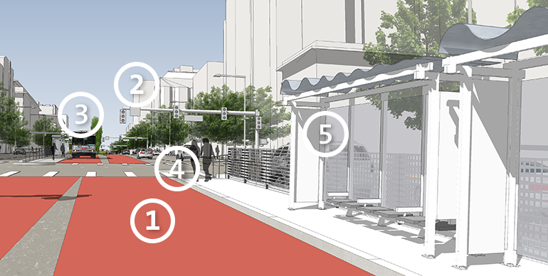 Rendering of a Bus Rapid Transit station with transit lanes and passenger shelter on Van Ness Avenue.