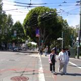 People standing in a street crosswalk with trees and overhead transit wires visible.