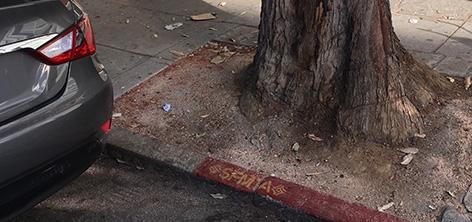 Parked car with tree trunk and driveway space visible on street.