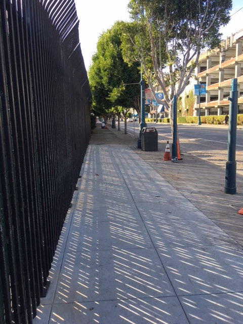 Beach Street sidewalk with trees, street lamps, and buildings, showing reopened pedestrian pathway.