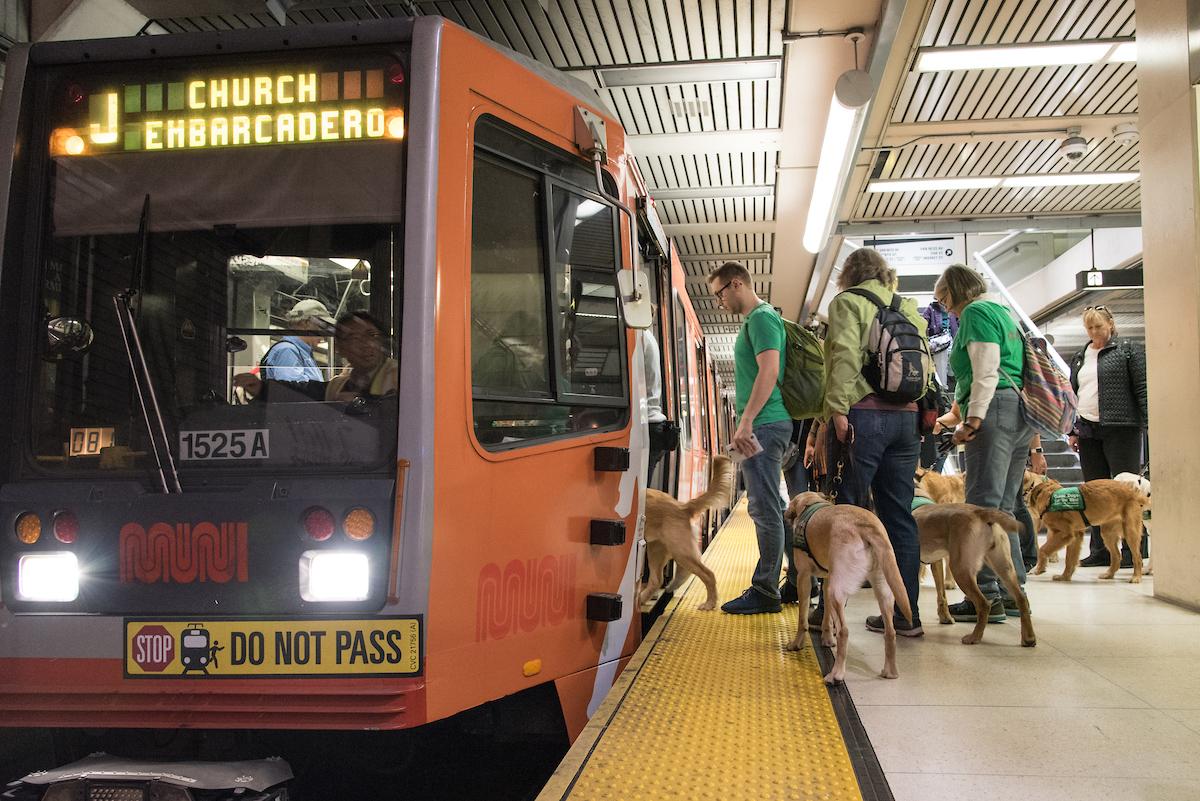 Passengers with service dogs boarding an orange Muni train at an underground station platform.