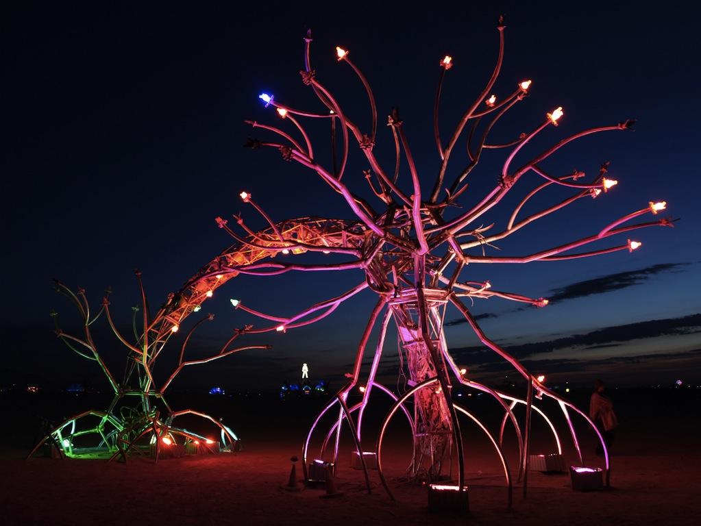 Illuminated metal tree sculpture with glowing pink and red branches at night in desert setting.