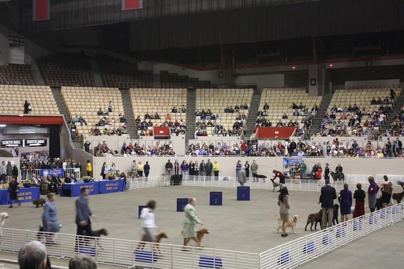 Golden Gate Kennel Club Dog Show in 2010
