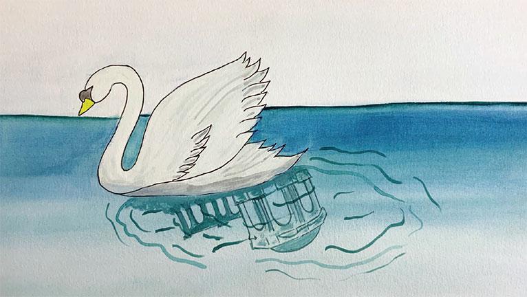 Swan afloat with reflection of Palace of Fine Arts