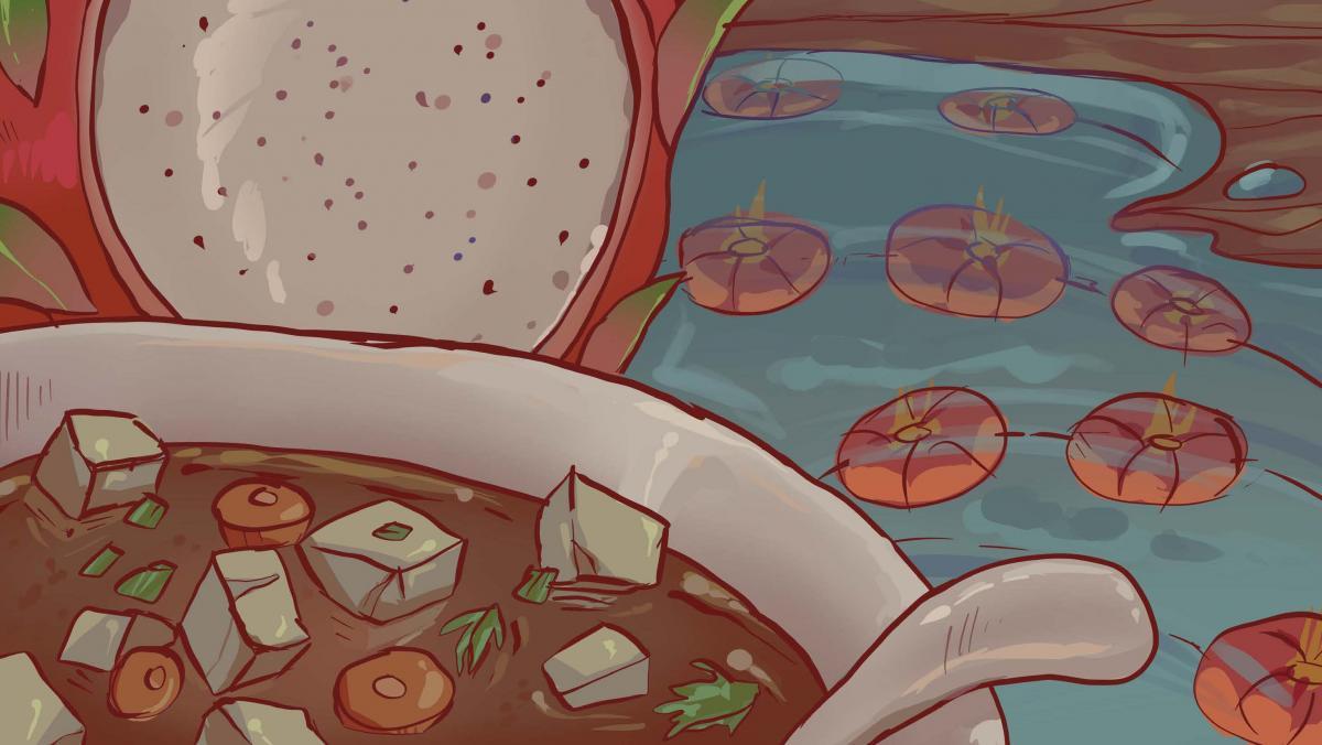 Bowl of soup in the foreground with Tofu and vegetables. Behind is a large dragon fruit.