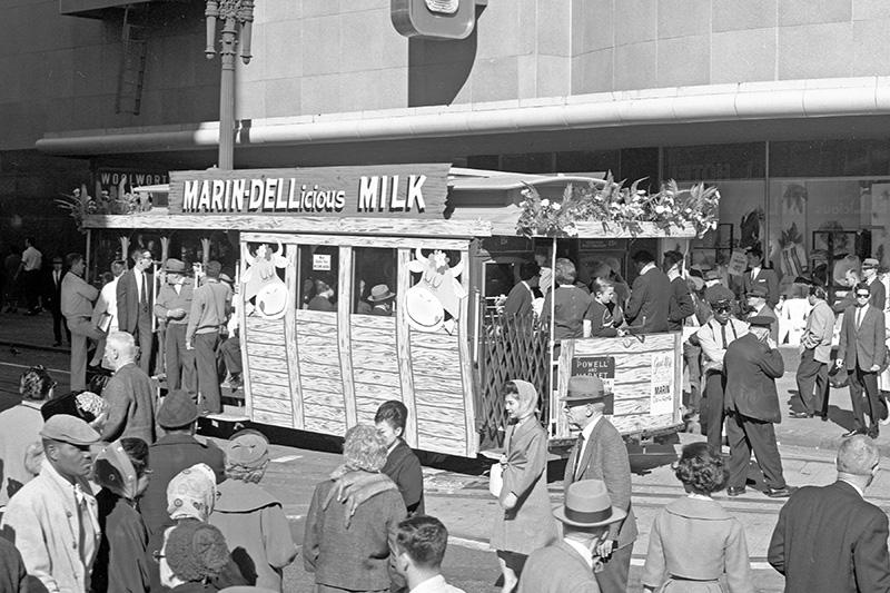 A cable car at the Powell turntable is decorated as if it is a barn with cows in 1962.