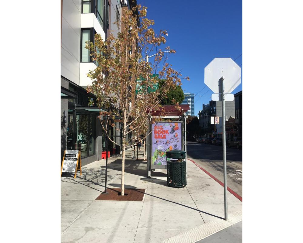 Hayes at Laguna sidewalk extension