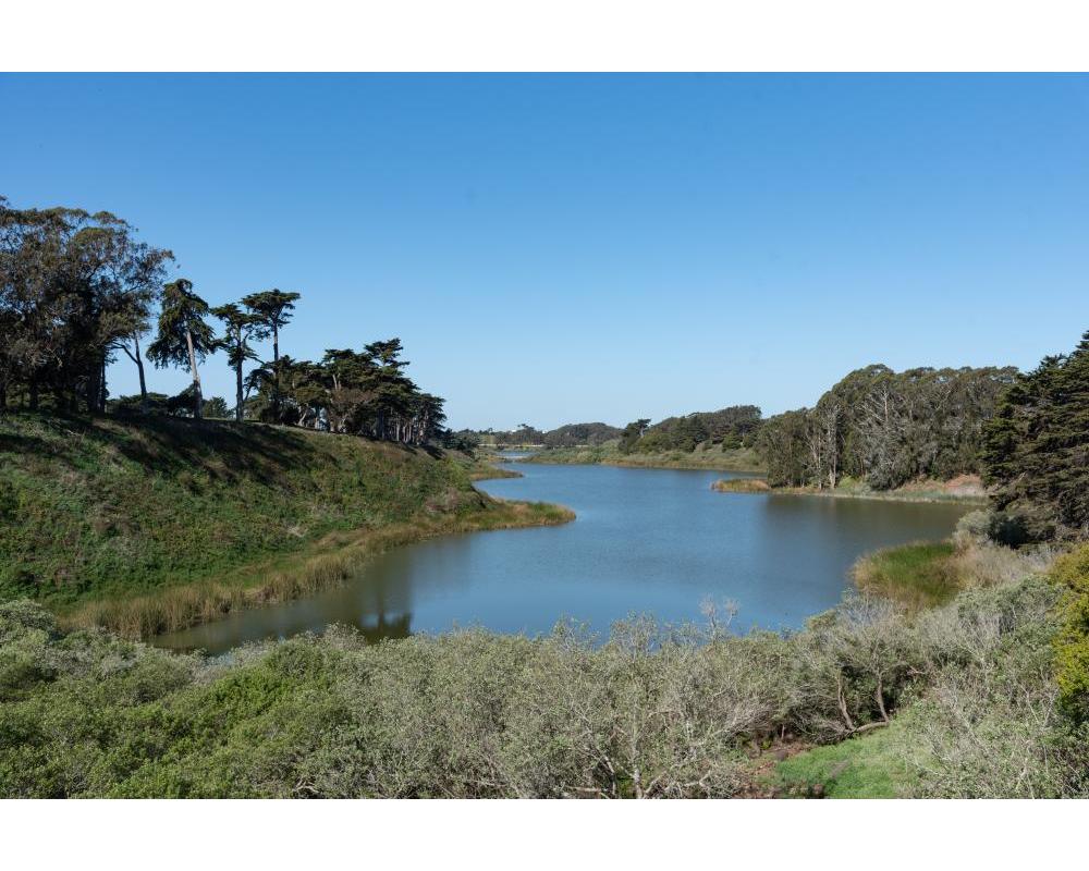 Lake Merced