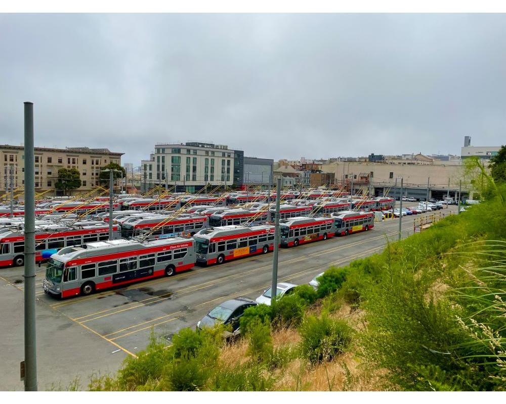 Trolley fleet at Presidio Bus Yard