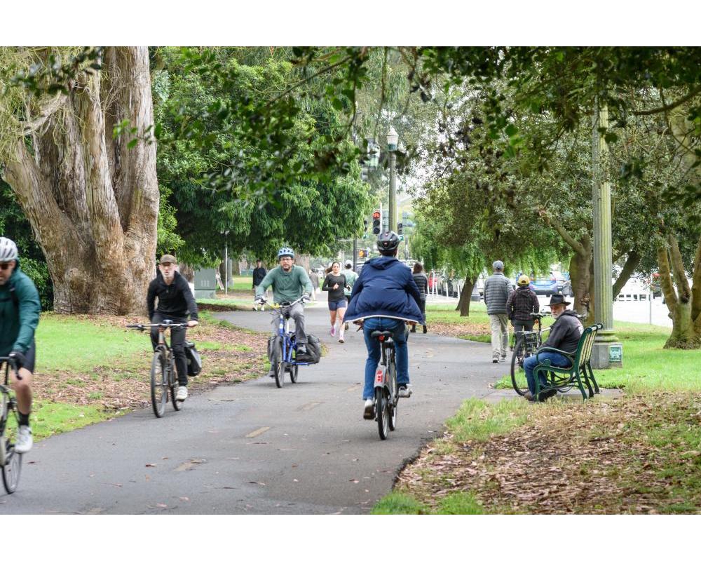 Multi-use pathway in the pandhandle park