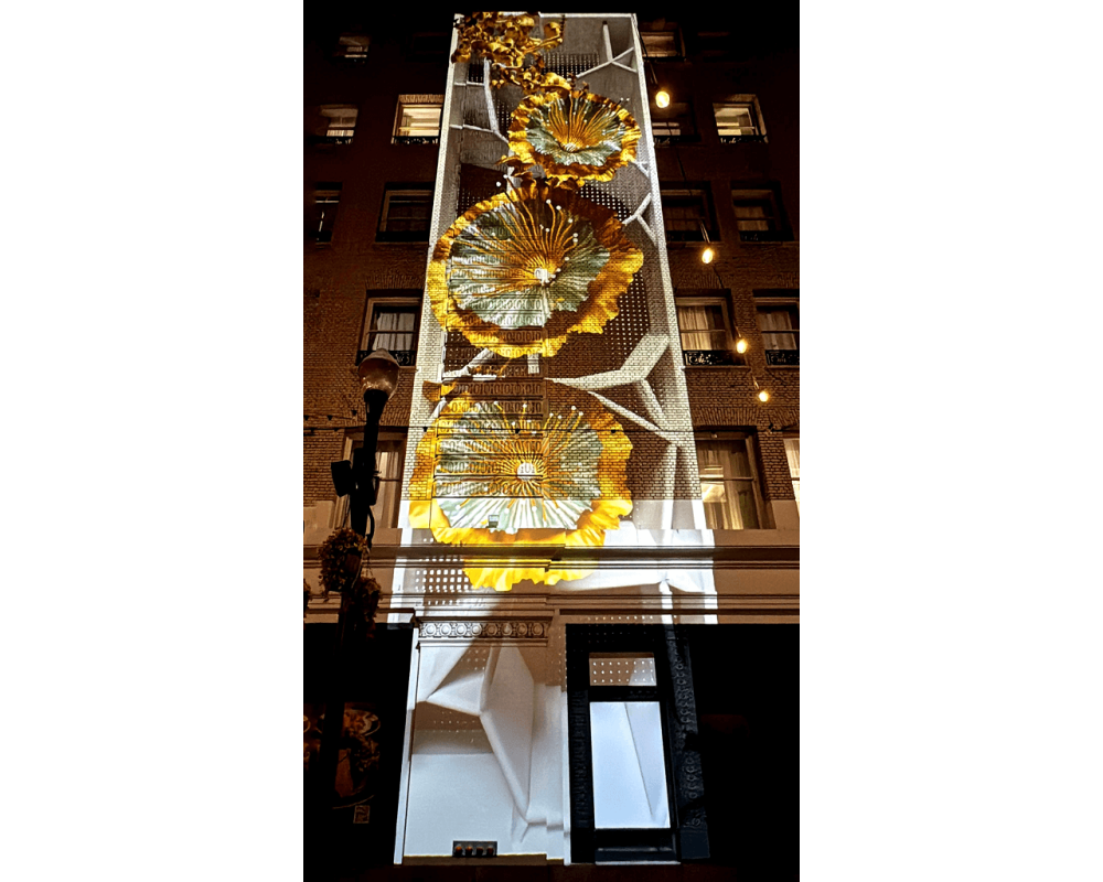 Let's Glow event - Projection art on Horbart Building