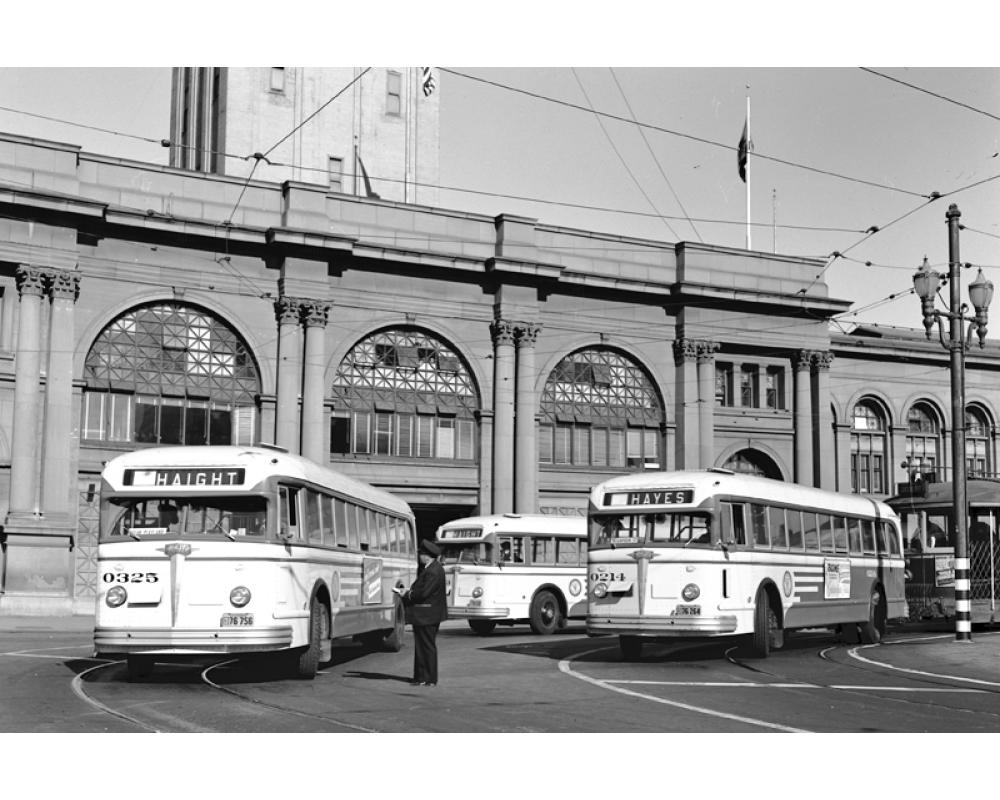 black and white photo of