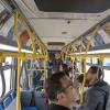 muni art and people in bus