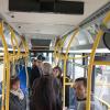 people looking at artwork in bus
