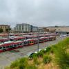 Trolley fleet at Presidio Bus Yard
