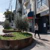 A person drinking coffee walks passed planters on a landscaped transit bulb