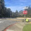 Crosswalk at Olympia Drive and Clarendon Avenue