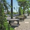 A person bikes near a paved area that has benches and green trees.
