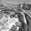 black and white photo of