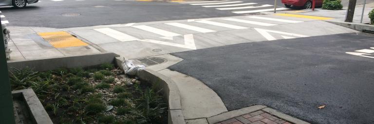 Raised crosswalk, permeable paving, and rain garden at Pierce and Waller