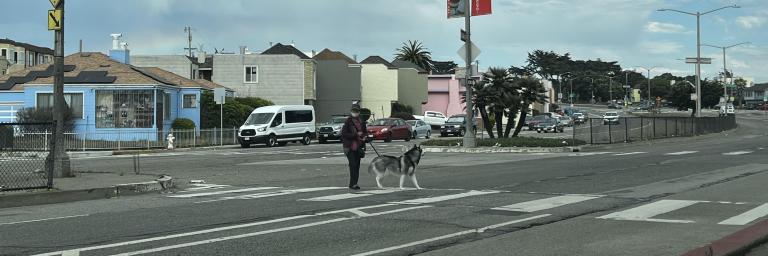 A person crossing Sloat Blvd with their dog.