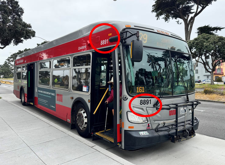 Where to find vehicle numbers on the outside of a Muni bus Muni bus on the road with vehicle numbers circled
