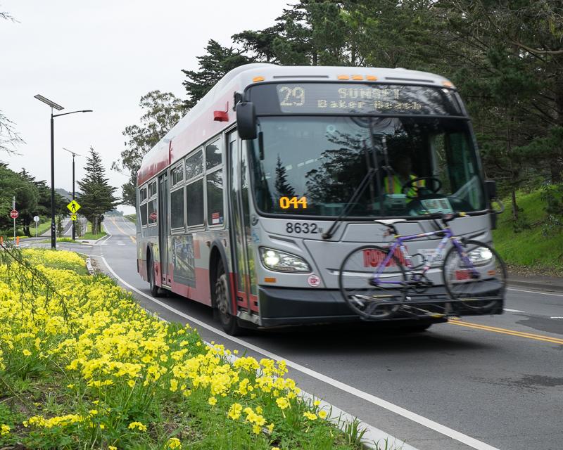 Muni hybrid bus passing bed of flowers in McLaren Park