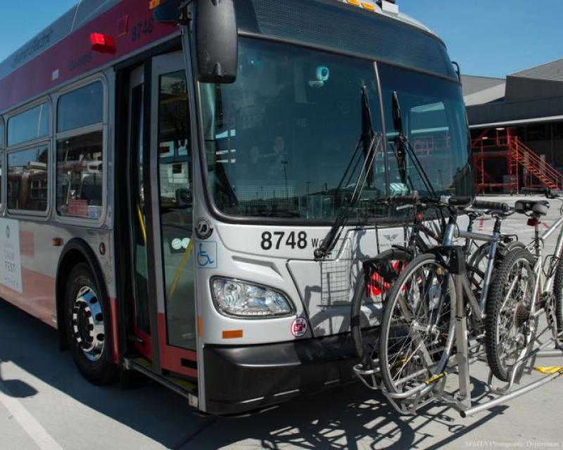 muni bus