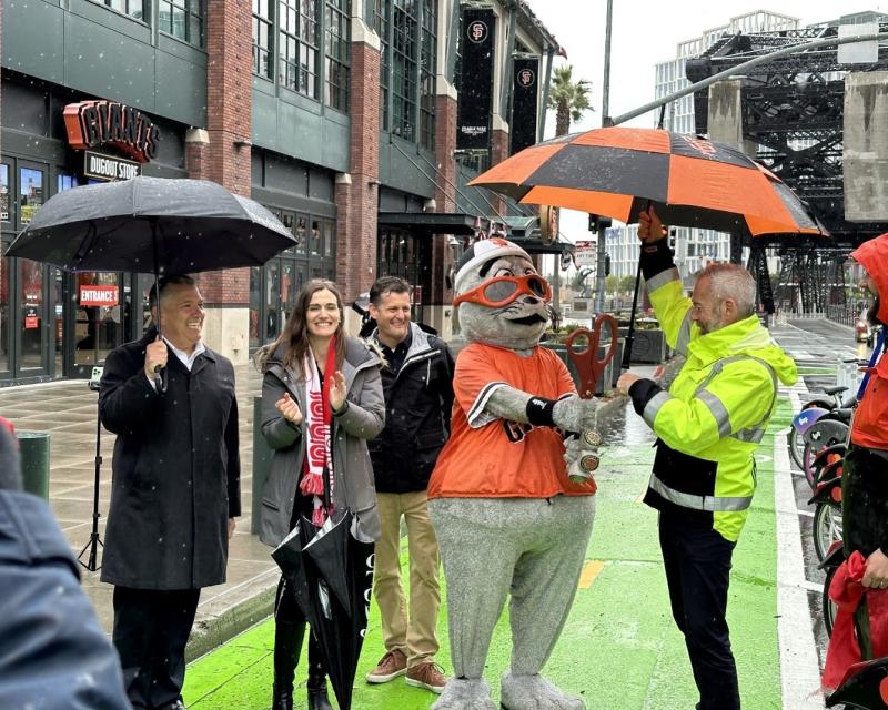 A group of people holding umbrellas stand in a green bike lane with a mascot dressed in a seal costume on a rainy day.