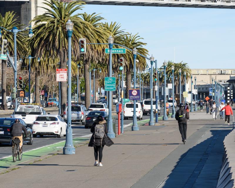 Pedestrians walk down a palm-tree lined sidewalk.