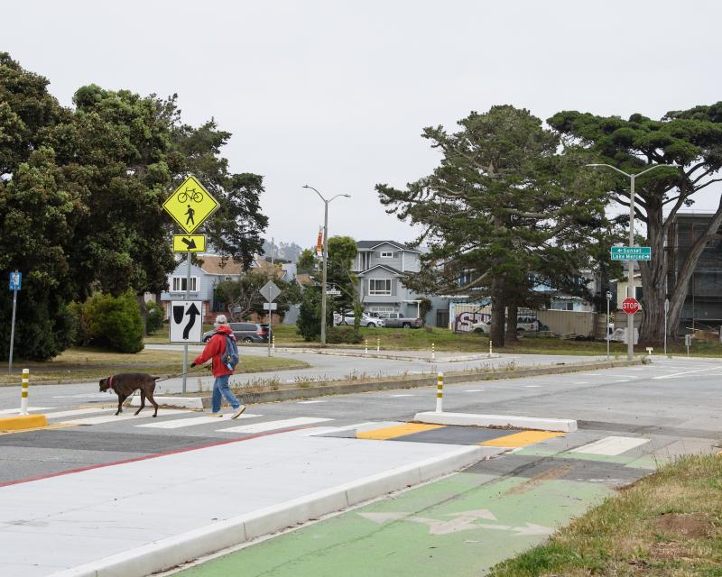 Woman walking dog across crosswalk with separated bike lane
