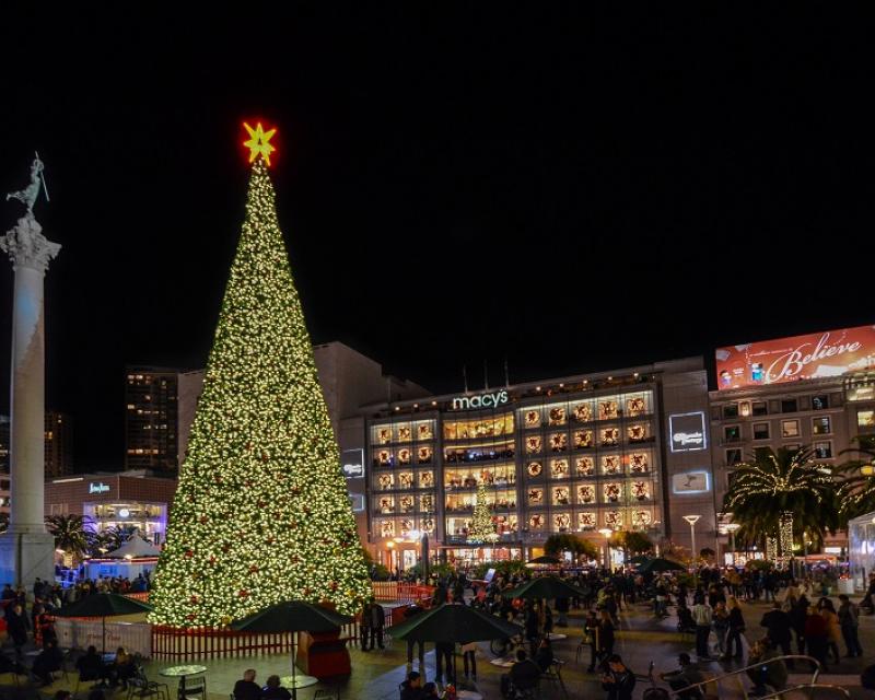 Macy Tree