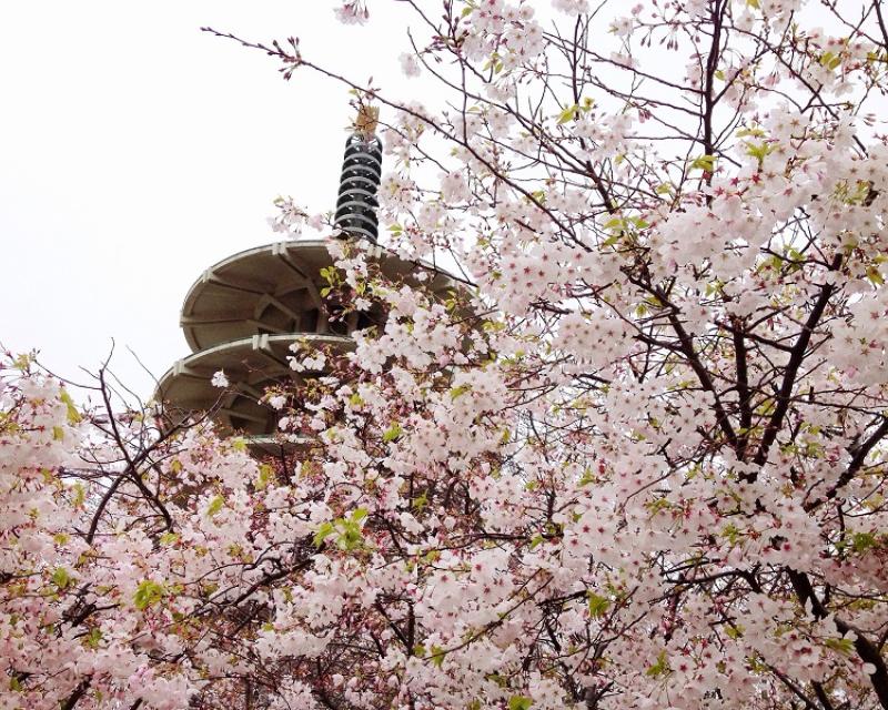 Find Out What's Happening This Weekend in the City