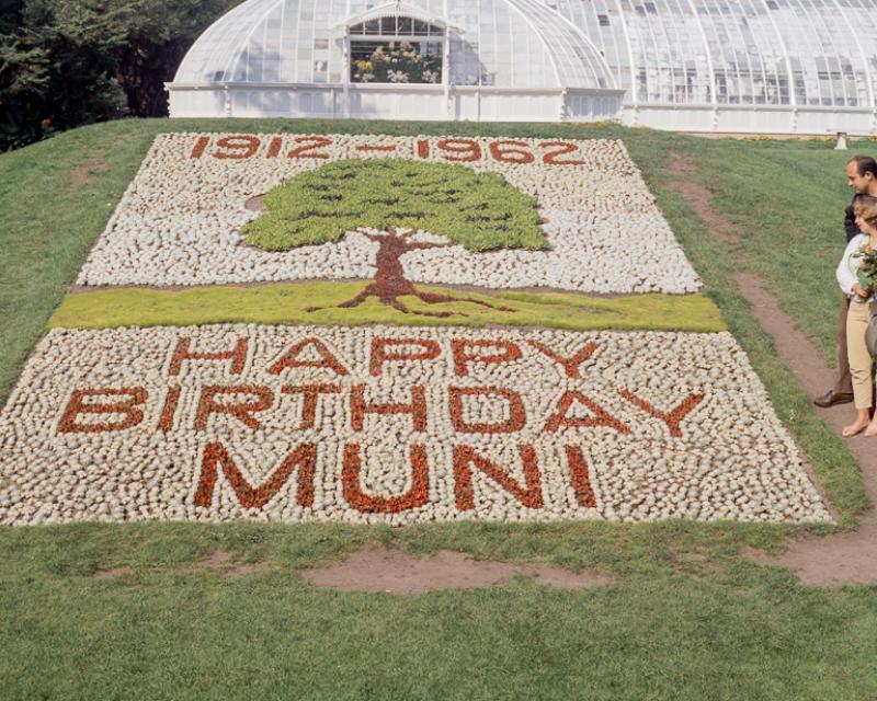 bed of succulent plants spelling "happy birthday muni"