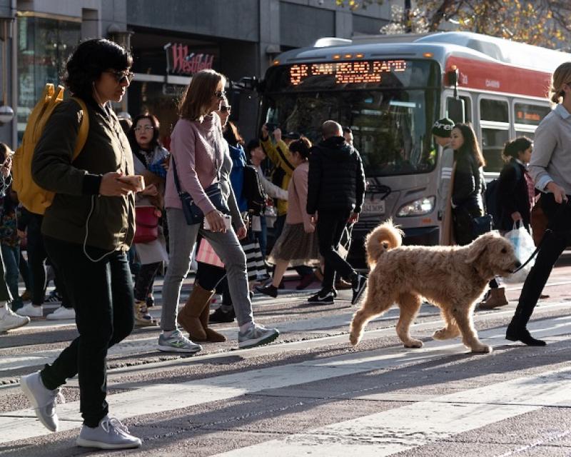 People walking around San Francisco