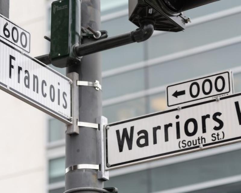 Warriors Way