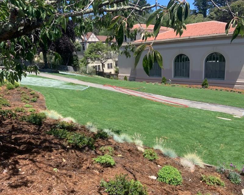 New sod on top of the new drainage system at Forest Hill Station