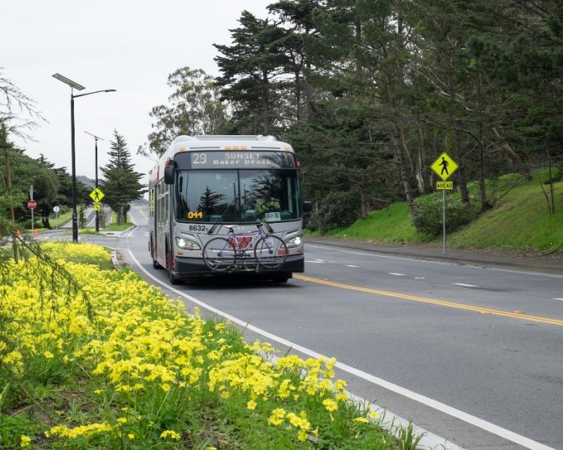 Photo of the 29 Sunset bus 