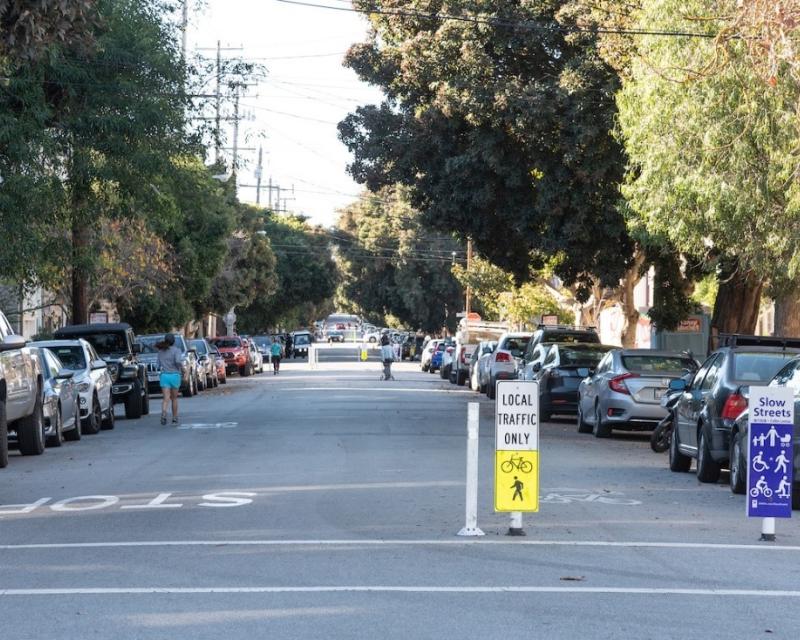 People walk on the street with trees and cars lining each side and signs in the middle of the street that say Local Traffic Only