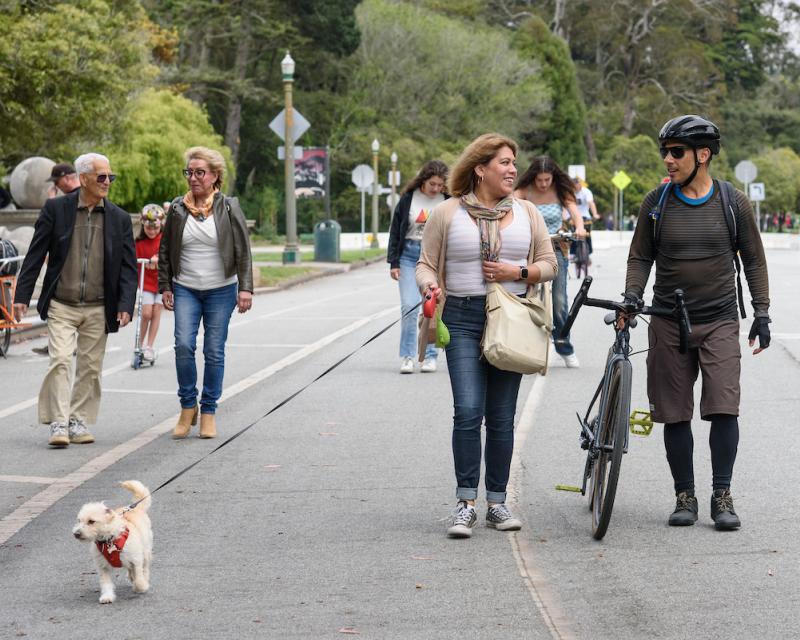 A group of people walking towards the camera on a tree-lined street. One person is walking a dog and another person with a bijke