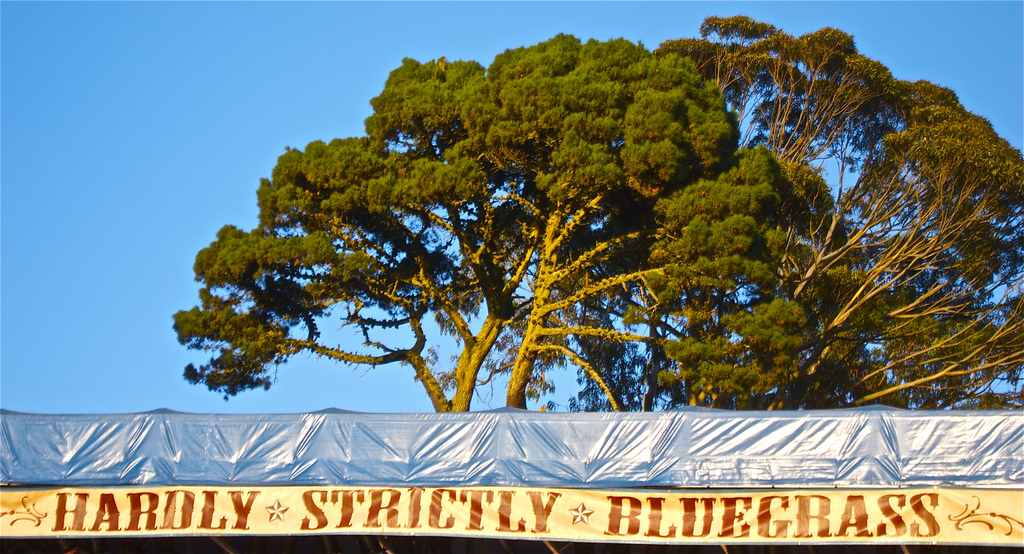 Hardly Strictly Bluegrass sign