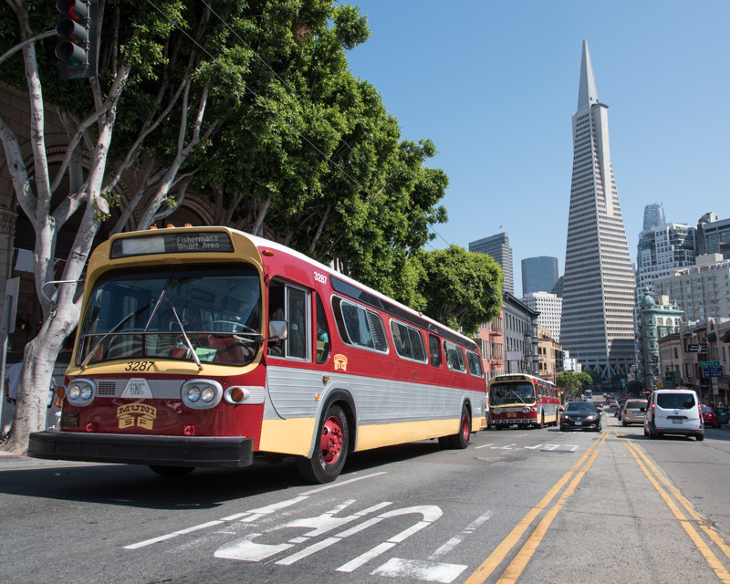 vintage buses